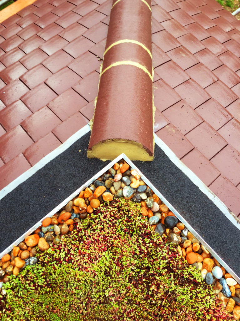 greenroofedgesectionwithtrim Green Roofers