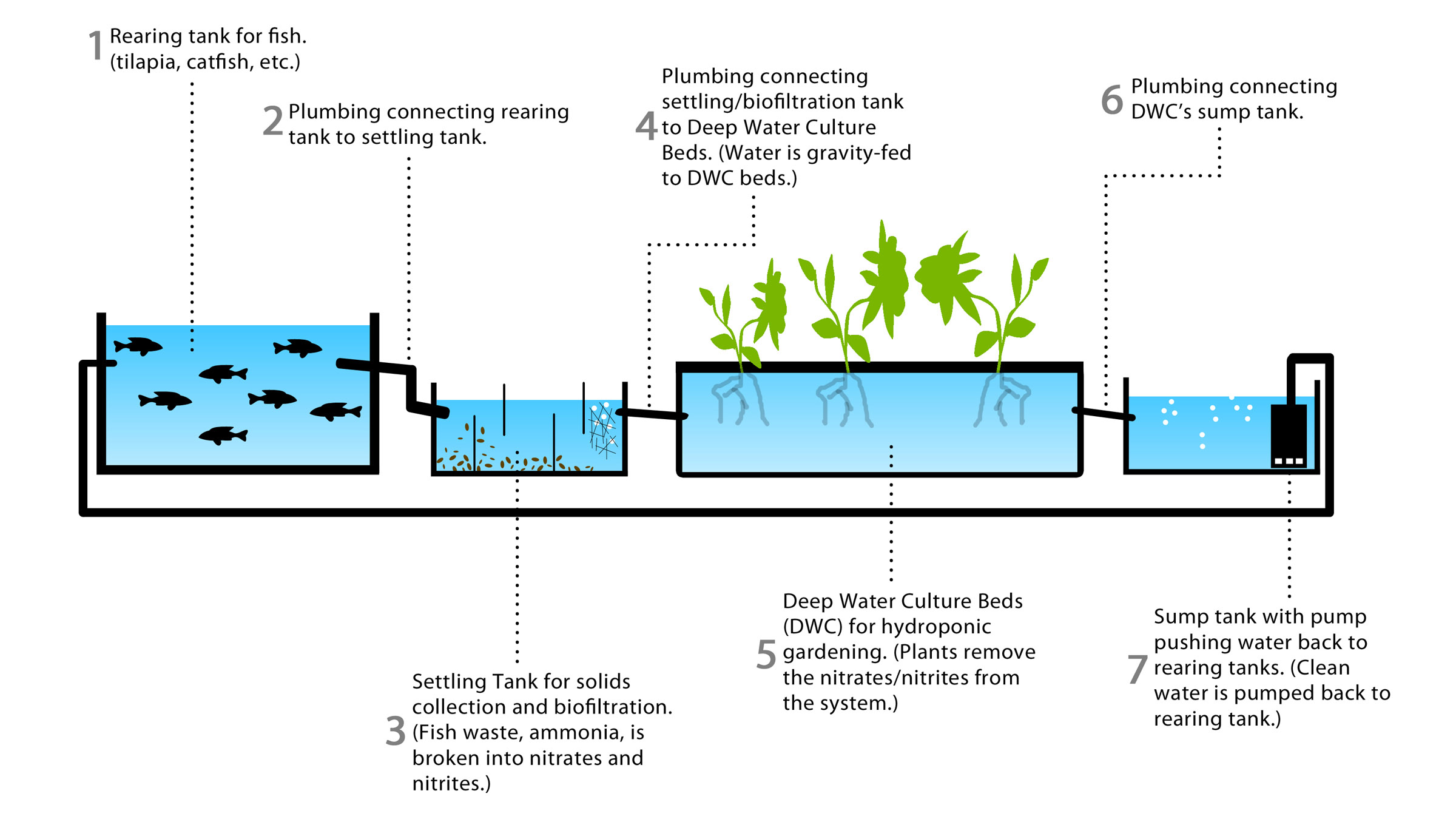 aquaponics-plans