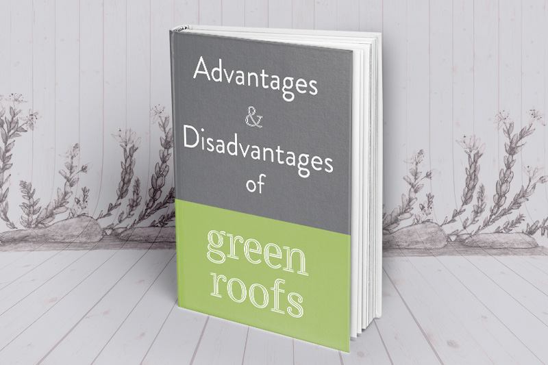 advantages-of-green-roofs-guide